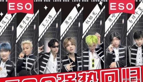 eso男团最新爆料,揭秘神秘幕后故事与未来发展规划