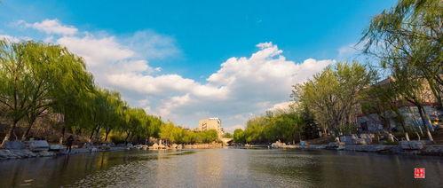 甲子湖最新爆料,揭秘湖中惊现神秘生物之谜